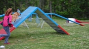 dsc-0159-692