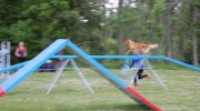 dsc-0219-693