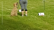 20170628_184929