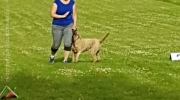 20170628_184943