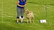 20170628_184952