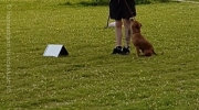 20170628_191433