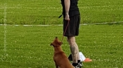 20170628_191533