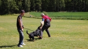 dsc-0409-517-514-420