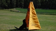 dsc-0415-523-520-426