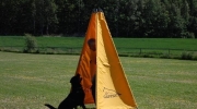 dsc-0423-531-528-434