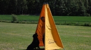 dsc-0425-533-530-436