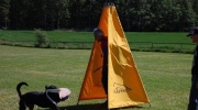 dsc-0428-536-533-439