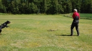 dsc-0508-571-568-474