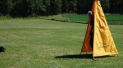 dsc-0534-597-594-500